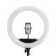 Bi Color 22 inch Ring Light Eyelash Extension Led Lamp With Remote 5500k Makeup Lighting Kit