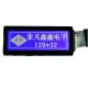 Monochrome 120*32 Graphic LCD Display Module Hand Hold Equipment Usage