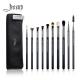 Antimicrobial 10pcs Eye Makeup Brush Set