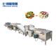 Full Automatic Vegetable Processing Line Fruit Processing Line Machinery Fruits Vegetable Dryer