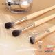 Customized LOGO Accepted Make up Brush Set Kit for Powder and ABS Plastic Handle