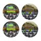 Customized Anti Counterfeiting Security Label Stickers Optically Changeable