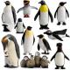 11 PCS Penguin Model Toy Desktop Decoration Collection Party Favors Toys for Boys Girls Kids