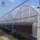 4m Large Double Arch Polyethylene Film Greenhouse Agriculture Pressure