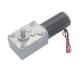 5840 31zy DC Worm Gear Motors Type D Shaft 24v Gear Motor With Encoder