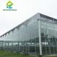 16m Span Multispan Smart Agricultural Glass Greenhouse For Vegetable Growing