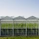 8mm Float Glass Multi Span Venlo Glass Greenhouse Top Heigh 4.5m-7.5m