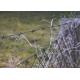 Farm Protection PVC Coated /Galvanized Barbed Wire Coils Fence