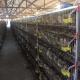 Corrosion Resistant Cage For Quail Farming , 380V / 220V Small Bird Cage