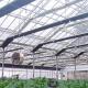 Competitive Automatic Blackout Fabric Control Greenhouse Black Out System Fully Automated Light Dep Greenhouse