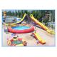 Funny Inflatable Water Slide with Pool for Sale (CY-M2134)