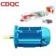 Electric High Temperature Electric Motor 3 Phase Asynchronous Motor 40hp 30kw printing processing