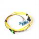 For Data Center OM4 Erika Violet  8/12/24 core MPO/MTP Trunk Fiber Optic Cables