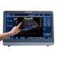 Medical 3D / 4D Color Doppler Ultrasound System Portable With 15 inch LED Monitor