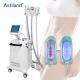 Non-Invasive 360 Cryolipolysis Slimming Machine 3 Handpieces Professional Fat Freezing Machine