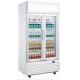 410L upright double door frost free fan cooling display beverage cooler/glass door chiller/beverage showcase