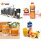 220V / 380V Fruit Juice Processing Equipment PLC Control For Peach / Apricot
