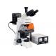 Wide View Field L3001 Epifluorescent Microscope With Transmitted Field Observation