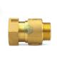 2 Inch Brass Spring Check Valve Female Thread for  Engineering