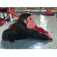 Corrosion Resistance Monkey Water Slide For Teenagers Summer Playing Indoor