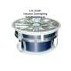 Induction Downlighting Fixture LCL-DL001