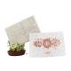 Custom Paper Seed Embedded Cards Printed Plantable Herb Seed Paper