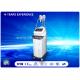 Fat Freezing Slimming Machine Cryolipolysis Machine For Body Shaping