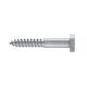 Stainless Steel 304 316 Hex Lag Wood Screw Latest Stock Size M6 - M20 A2 A4