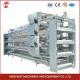 H Type 30000 Birds Automatic Egg Layer Chicken Cage With Manure Conveyor Belt Ada