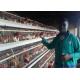 Farming Poultry Chicken Cages Automatic Chicken Layer Cage With Long Life