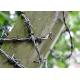 1.8mm Double Strand Reverse Twist  Electro Steel Barbed Wire Coils