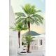 Nordic Retro Bionic Tropical Phoenix Palm Tree Floor Green Hotel Decor