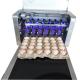 Digital Egg Marking Equipment / Egg Date Stamp Machine For Duck or Pineal Eggs