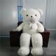 OAINI ODM OEM Manufacturer Custom Plush Animal Toys Huggable Bear Brother Loveable Soft Animal Toys