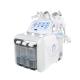 Hydra 6 In 1 Small Bubble H2O2 Hydragen Oxygen Jet Beauty Device Skin Cleansing Dermabrasion Facial Machine