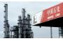 Sinopec, TPG considering joint bid for LyondellBasell