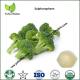 Broccoli Extract,Broccoli Sprout Extract,Broccoli Seed Extract,broccoli extract powder