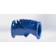 Ductile Iron Water Swing Flex Check Valve With PN16 End Connection