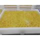 Food Grade Plastic Drying Trays Pharmaceutical Drying For Softgel Capsules and paintball