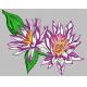New flower design,Twill fabric Embroidered digitized Logo on polyester / spandex more colors 