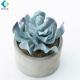Potted Artificial Green Plants , Fake Succulent Plants 5-10 Years Life Time