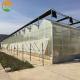 Venlo Polycarbonate Greenhouse for Flower and Vegetable Growing in Customized Color