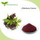 Violet Fruit Vegetable Powder Supplement Anti Oxidation Elderberry Extract