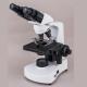 Pyramid Design Frame Electronic Binocular Microscope Binocular Light Microscope