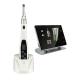 Multi Frequency Dental Endo Motor For Root Canal Treatment Automatic Calibrating Type