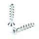 Stainless Steel Self Drilling M5 Concrete Cement Screw 35mm Bolt for Easy Installation