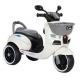 Children's Mini Tricycle Ride On Toys Car 6V Electric Motorcycle for Kids Gender Unisex