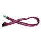 Promotional Nice Looking Silk Screen Lanyards With Metal Hook And Safety Clasp