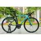 Race Roadbike Cycle with Disc Brake and Carbon Fibre Fork OEM 21 Speed MTB Mountain Bicycle