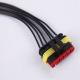 PE 300V Electric Vehicle Cable